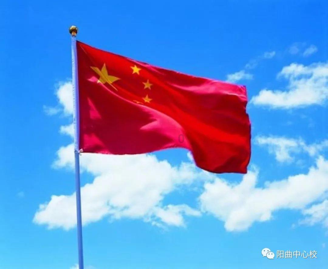 两个月大的鹦鹉可以遛弯吗？游戏画面